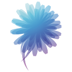 Logo 2116: Mostrare i layout con questo logo