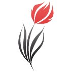 Logo 2297: Mostrare i layout con questo logo